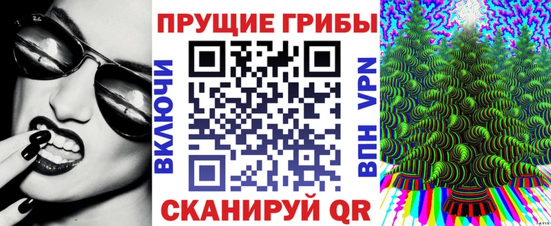 Купить где  Белозерск  Галлюциногенные грибы MAGIC MUSHROOMS 